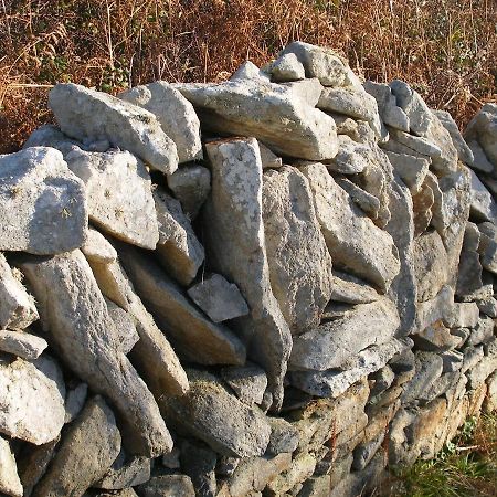 Les Chambres D'Hotes Du Cosquer Beuzec-Cap-Sizun Eksteriør billede