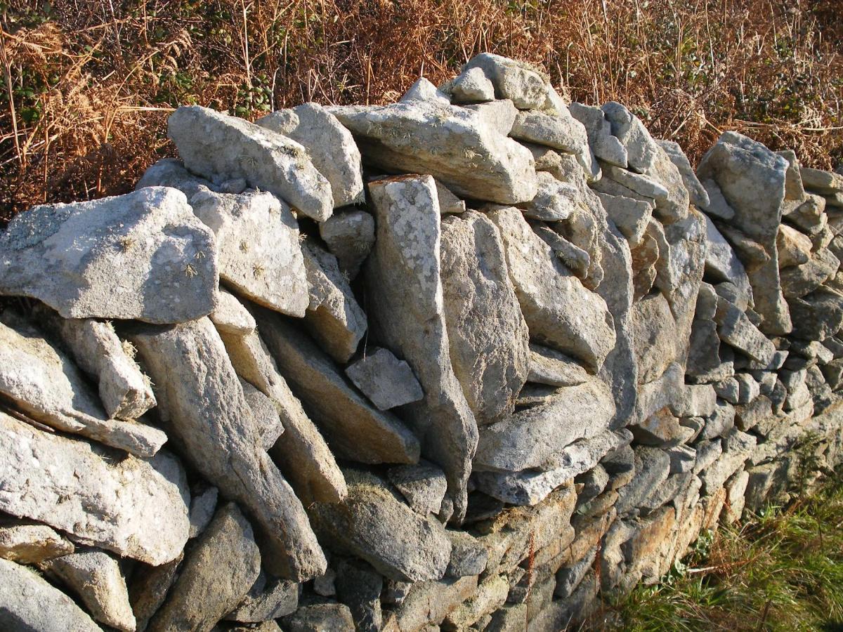 Les Chambres D'Hotes Du Cosquer Beuzec-Cap-Sizun Eksteriør billede